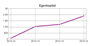 eMailPlatform egenkapital 2015